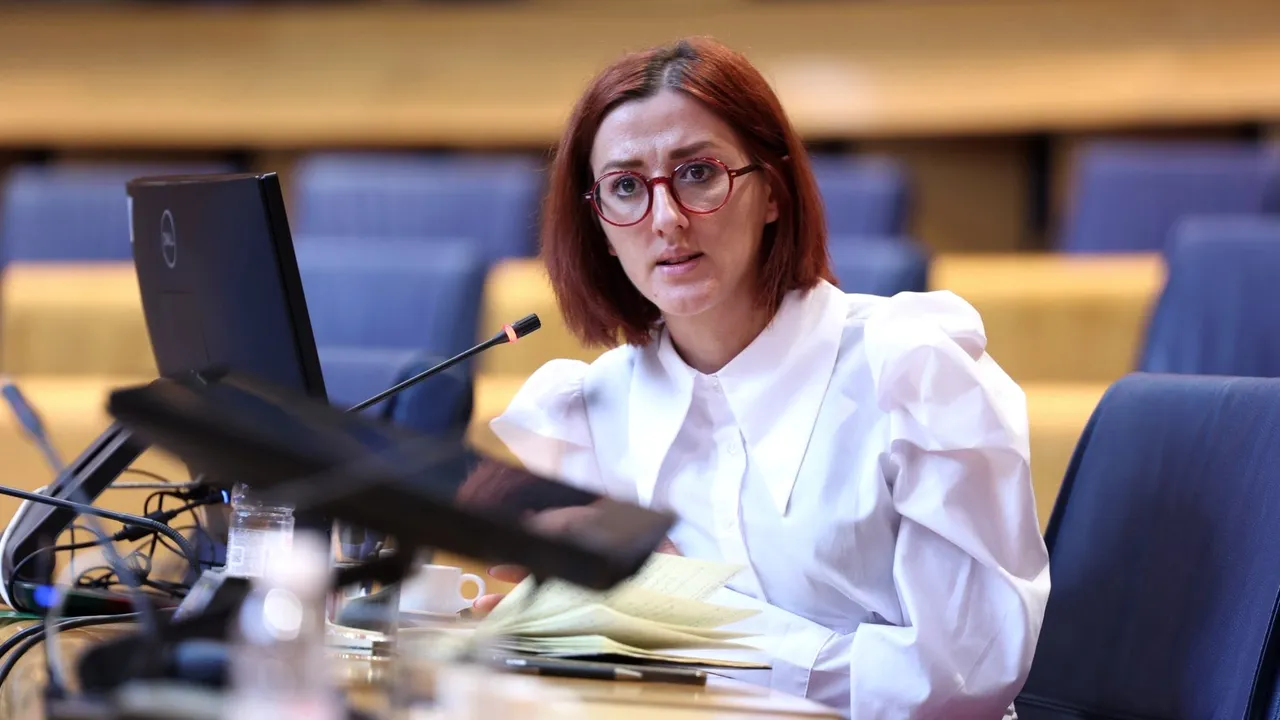 Novinarka Anisa Mahmutović na saslušanju Komisije za borbu protiv korupcije Predstavničkog doma Parlamenta BiH